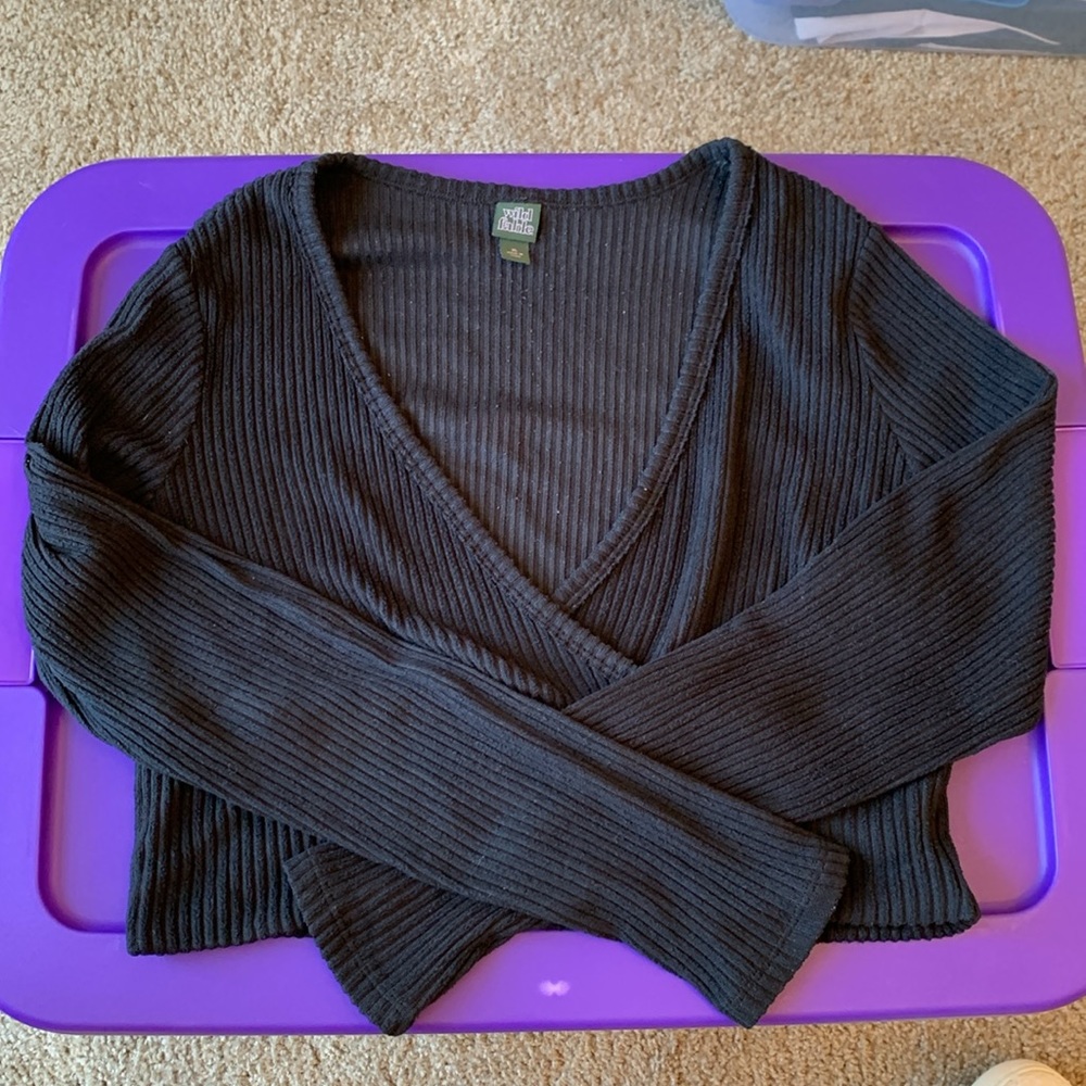 Wild Fable Ribbed Long Sleeve V Neck Crop Top